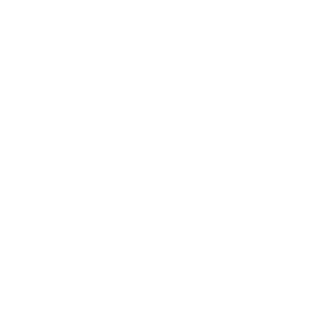 White Logo | Prima Title Group LLC